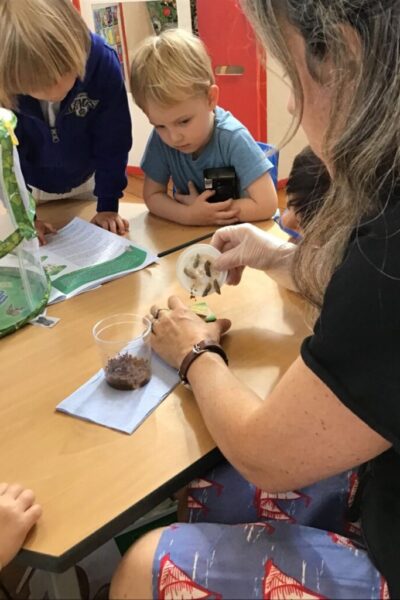 Teaching and Learning snapshot